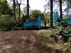 Sitio dos pinhais